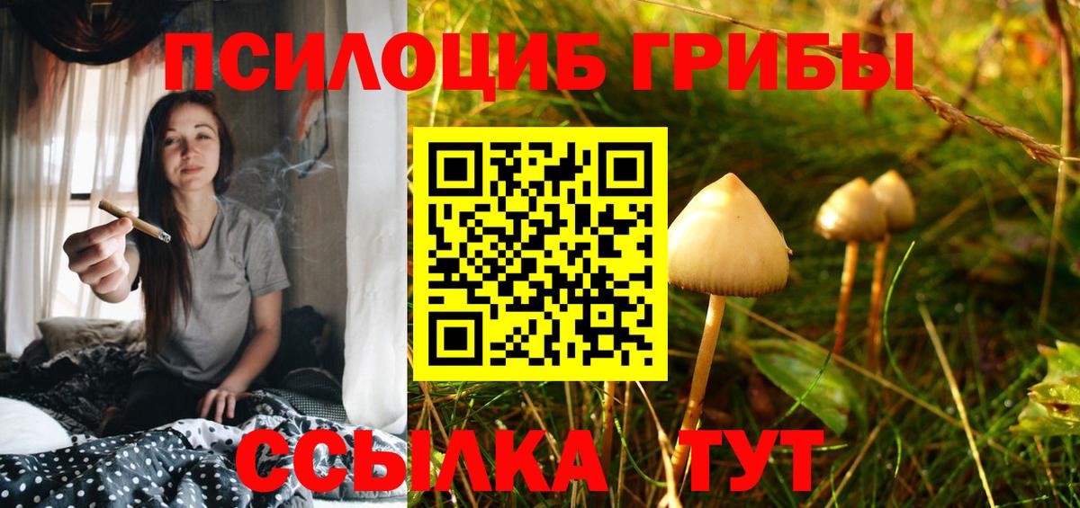 Псилоцибиновые грибы мухоморы Жигулёвск