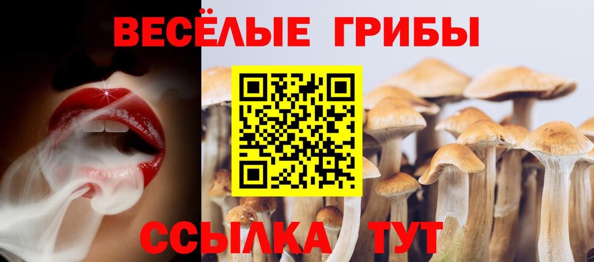 Жигулёвск  Псилоцибиновые грибы Cubensis  Вход с VPN 